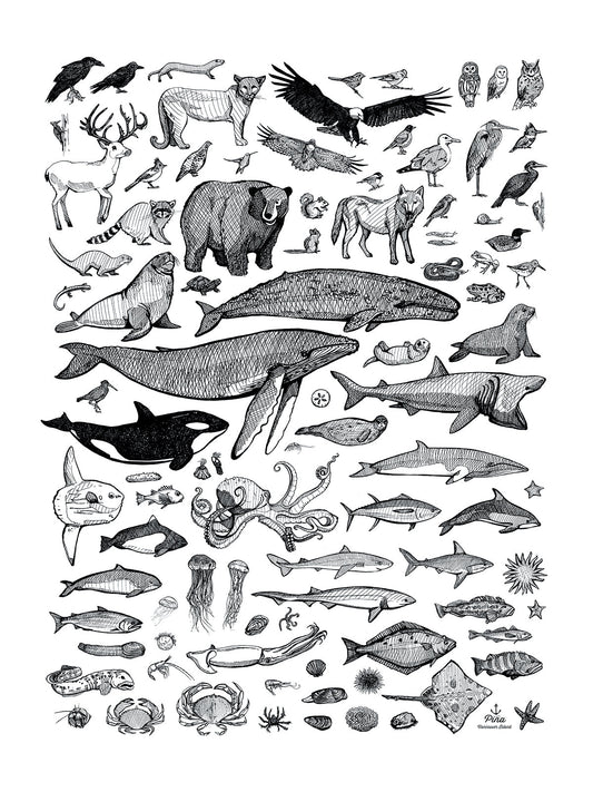 Species of Ucluelet