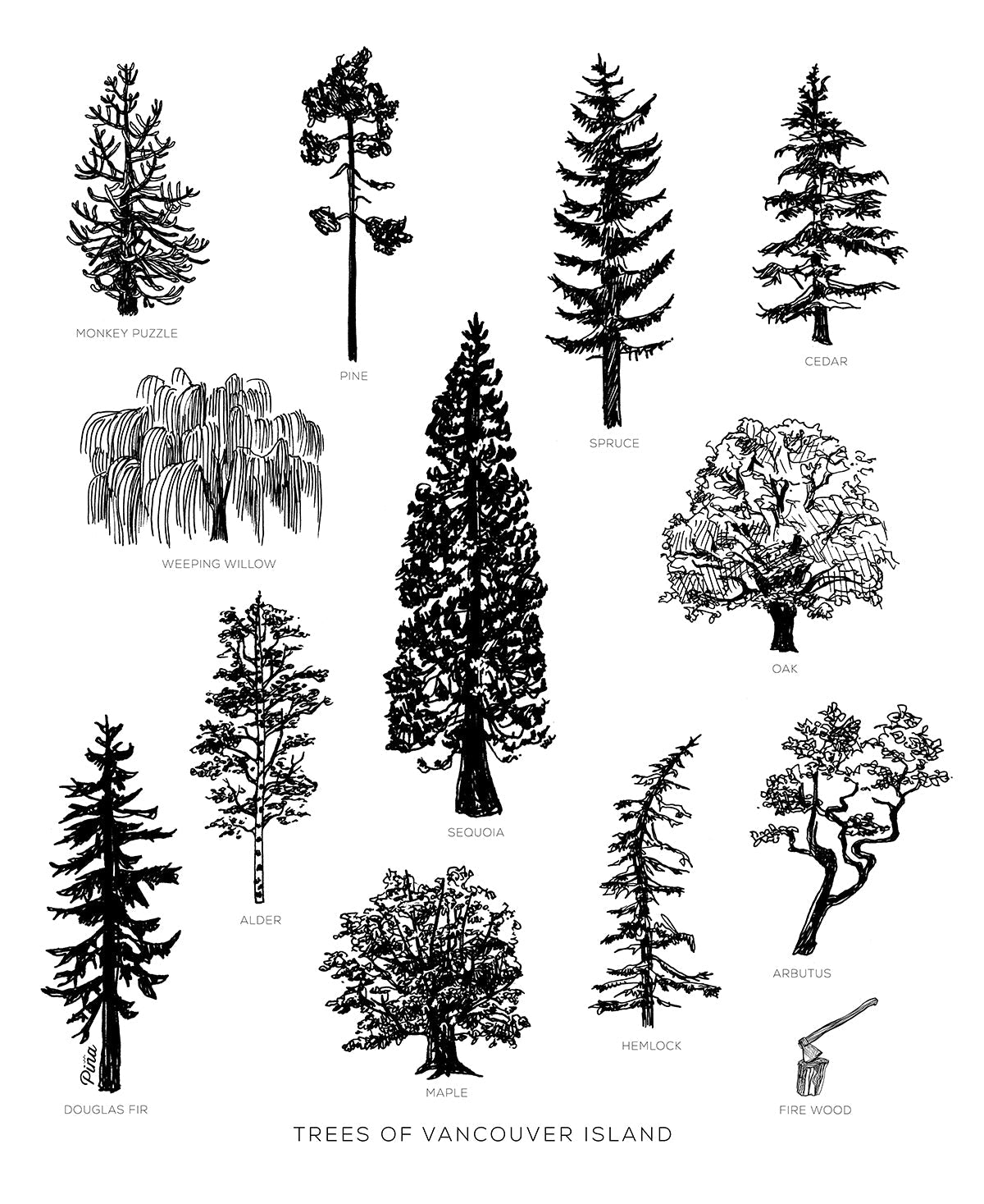 Vancouver Island Tree Species Design