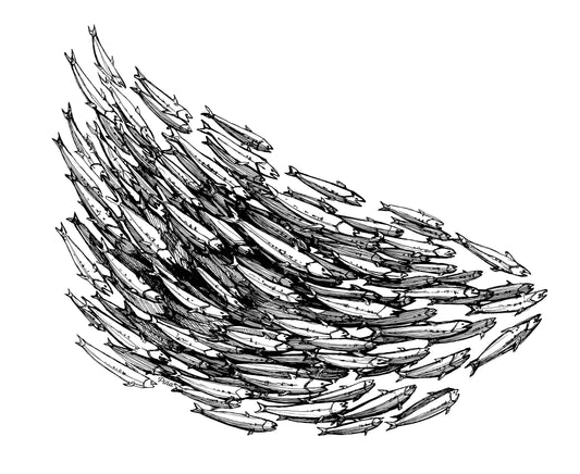 Fish School