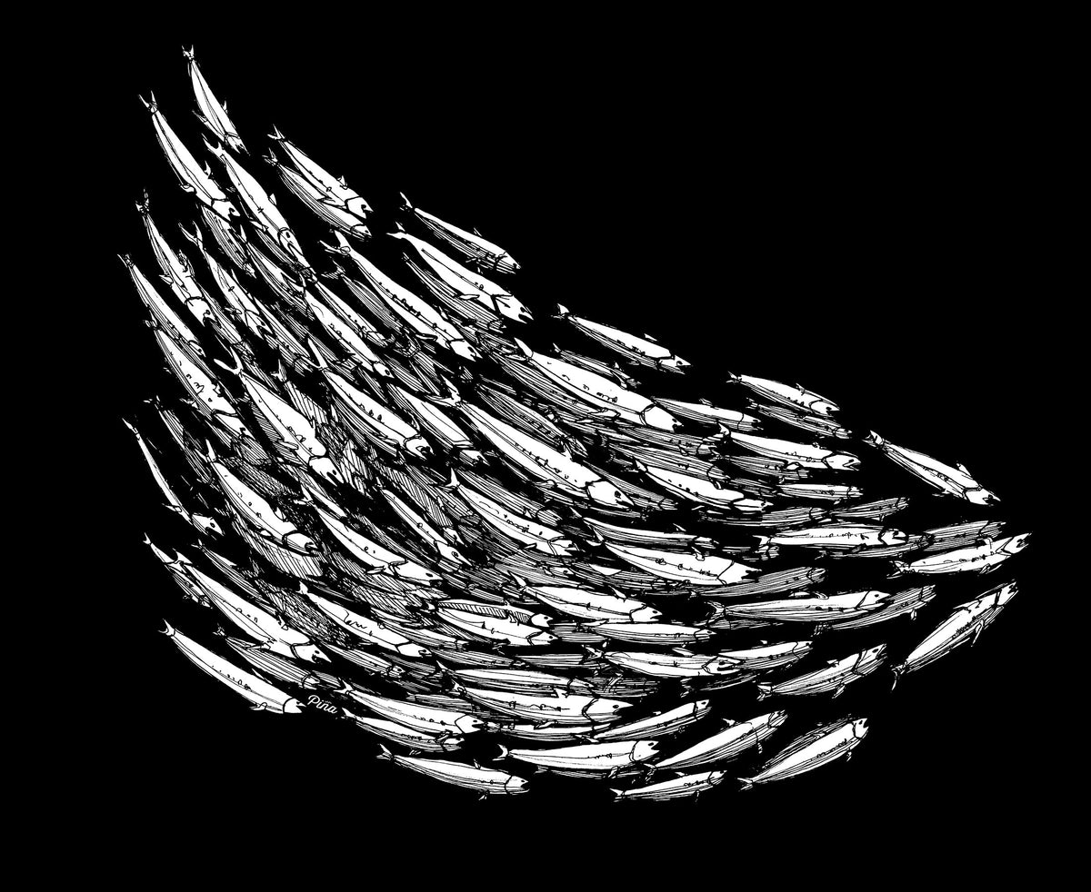 Fish School