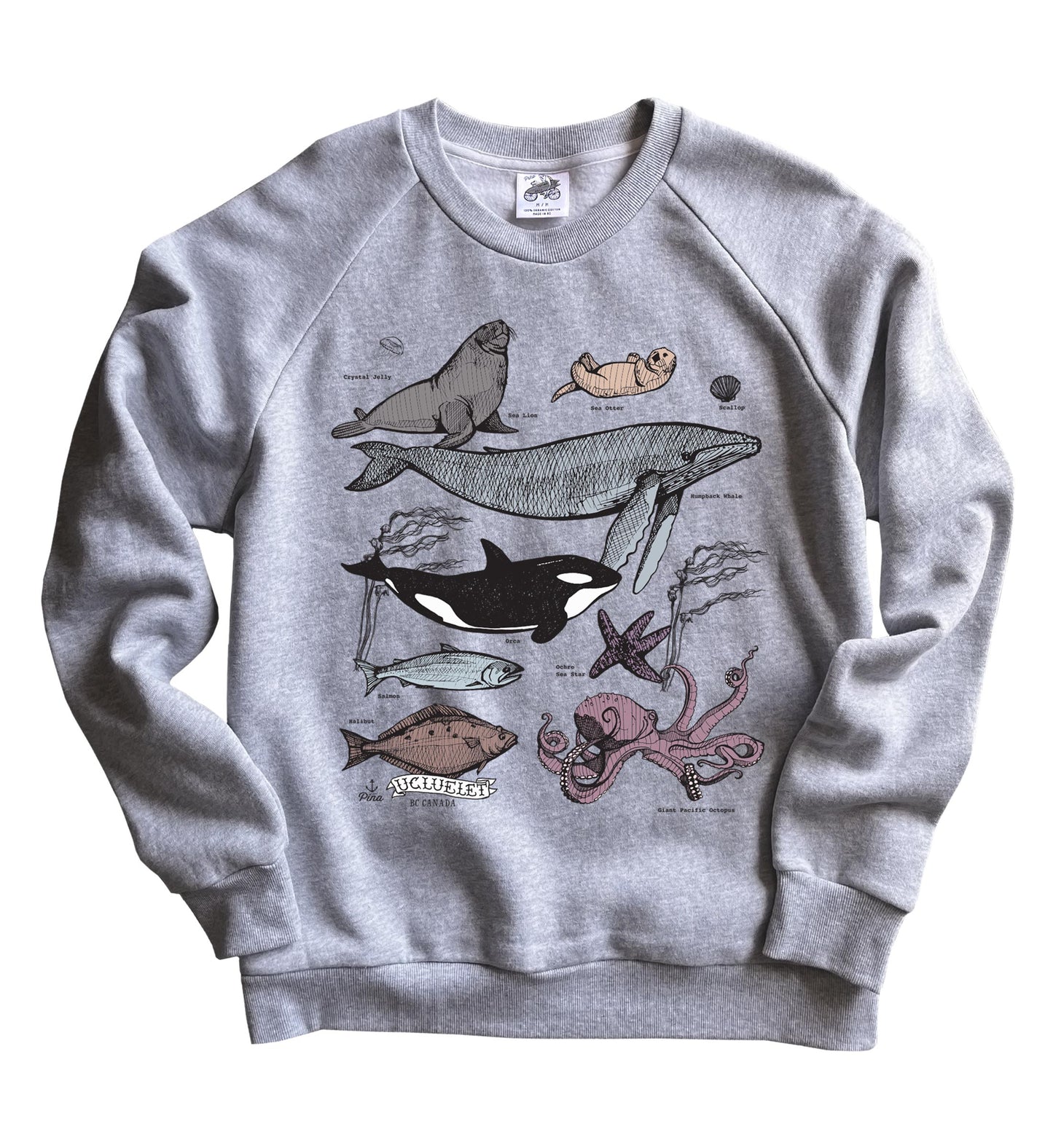 Ocean Species in Full Colour Organic Cotton Unisex Sweatshirt