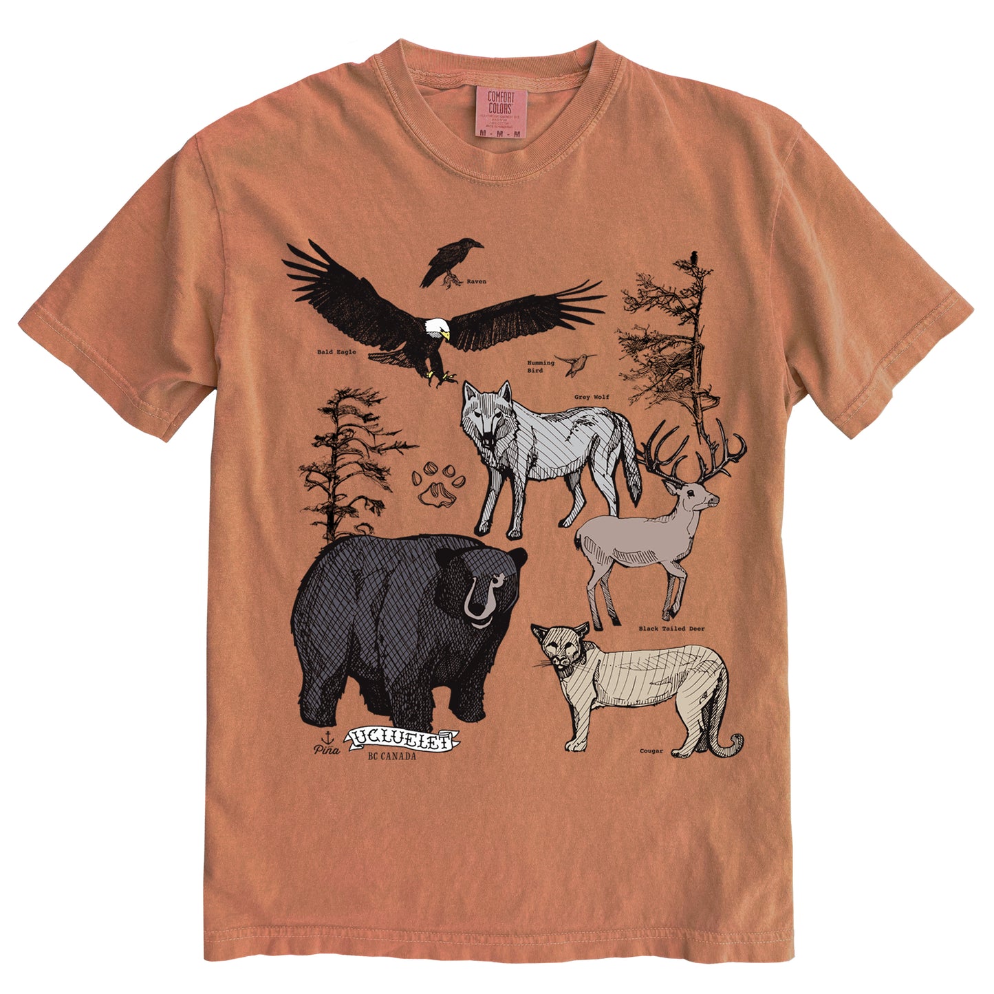 PNW Forest Species in Colour Ink Light on Dark Comfort Colours Heavyweight Cotton Unisex Tee
