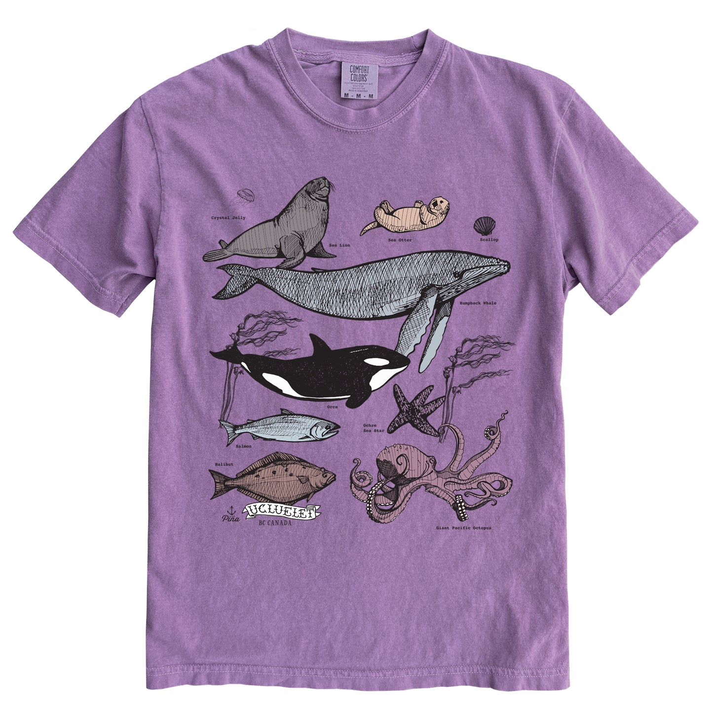 PNW Ocean Species in Colour Ink Light on Dark Comfort Colours Heavyweight Cotton Unisex Tee