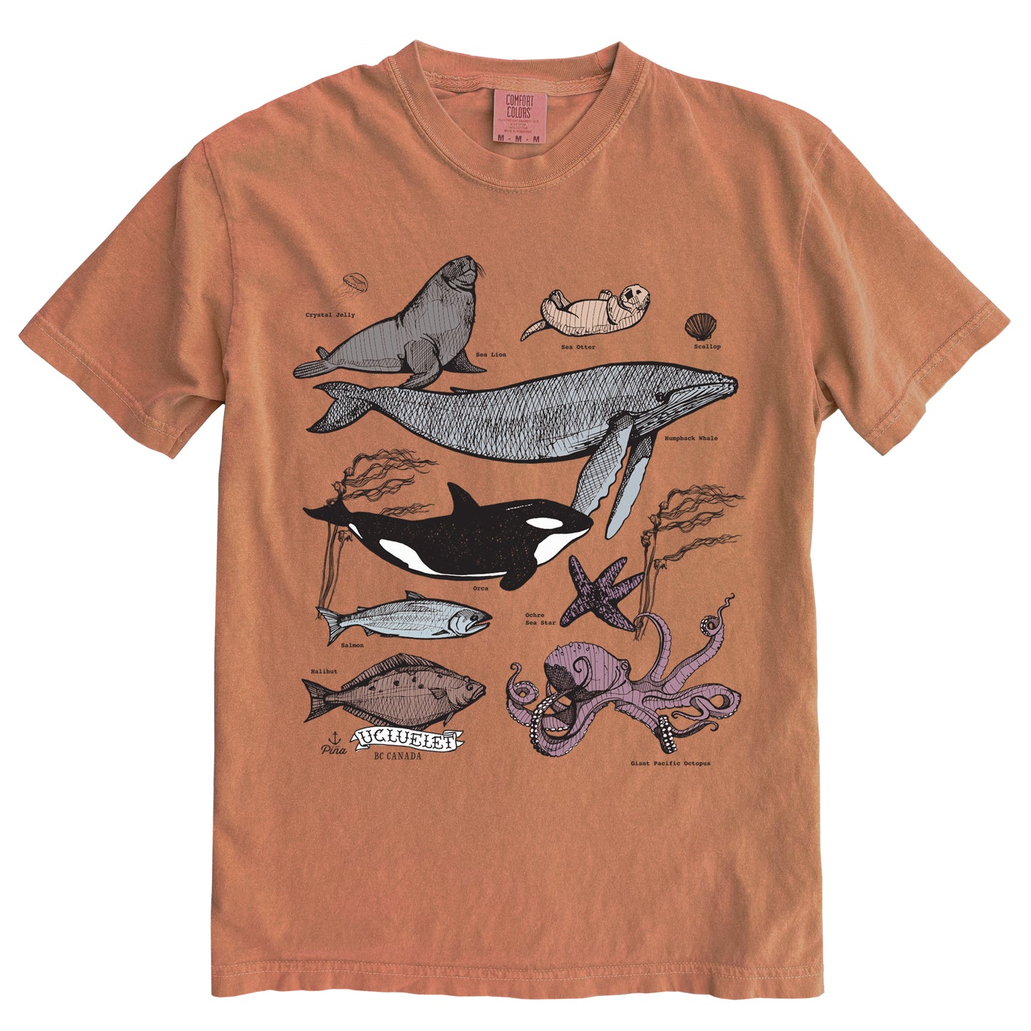 PNW Ocean Species in Colour Ink Light on Dark Comfort Colours Heavyweight Cotton Unisex Tee
