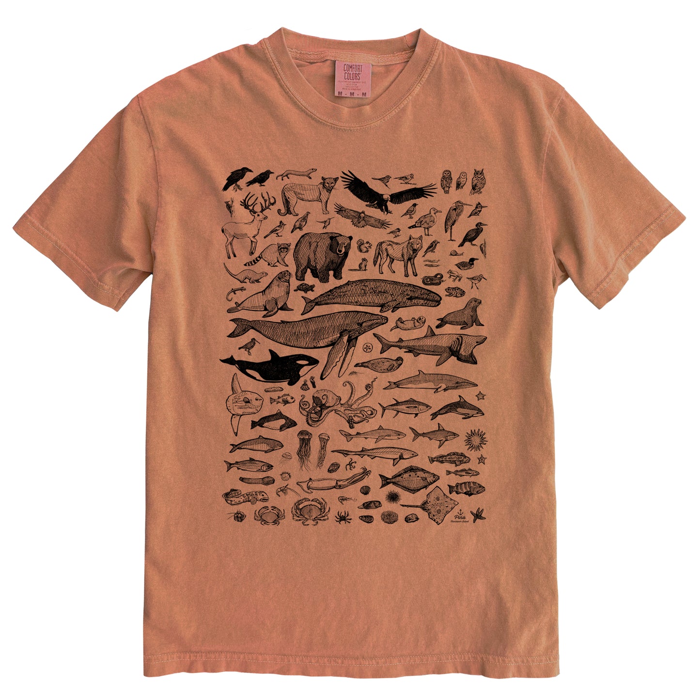 Species of Ucluelet in Black Ink Comfort Colours Heavyweight Cotton Unisex Tee