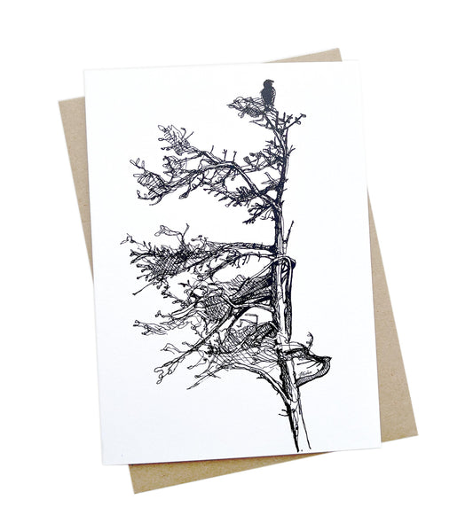 Spruce Tree Greeting Card