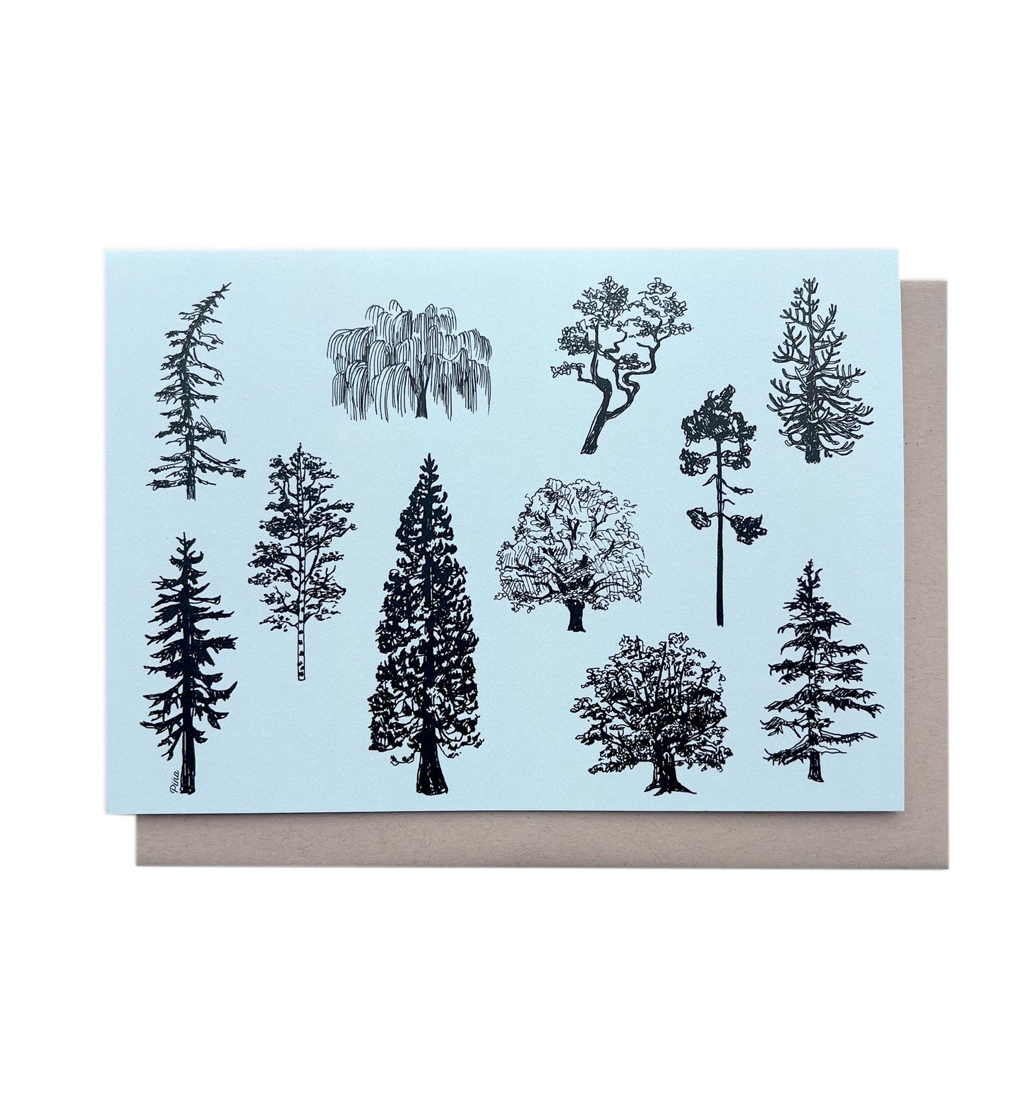 Vancouver Island Tree Species Greeting Card