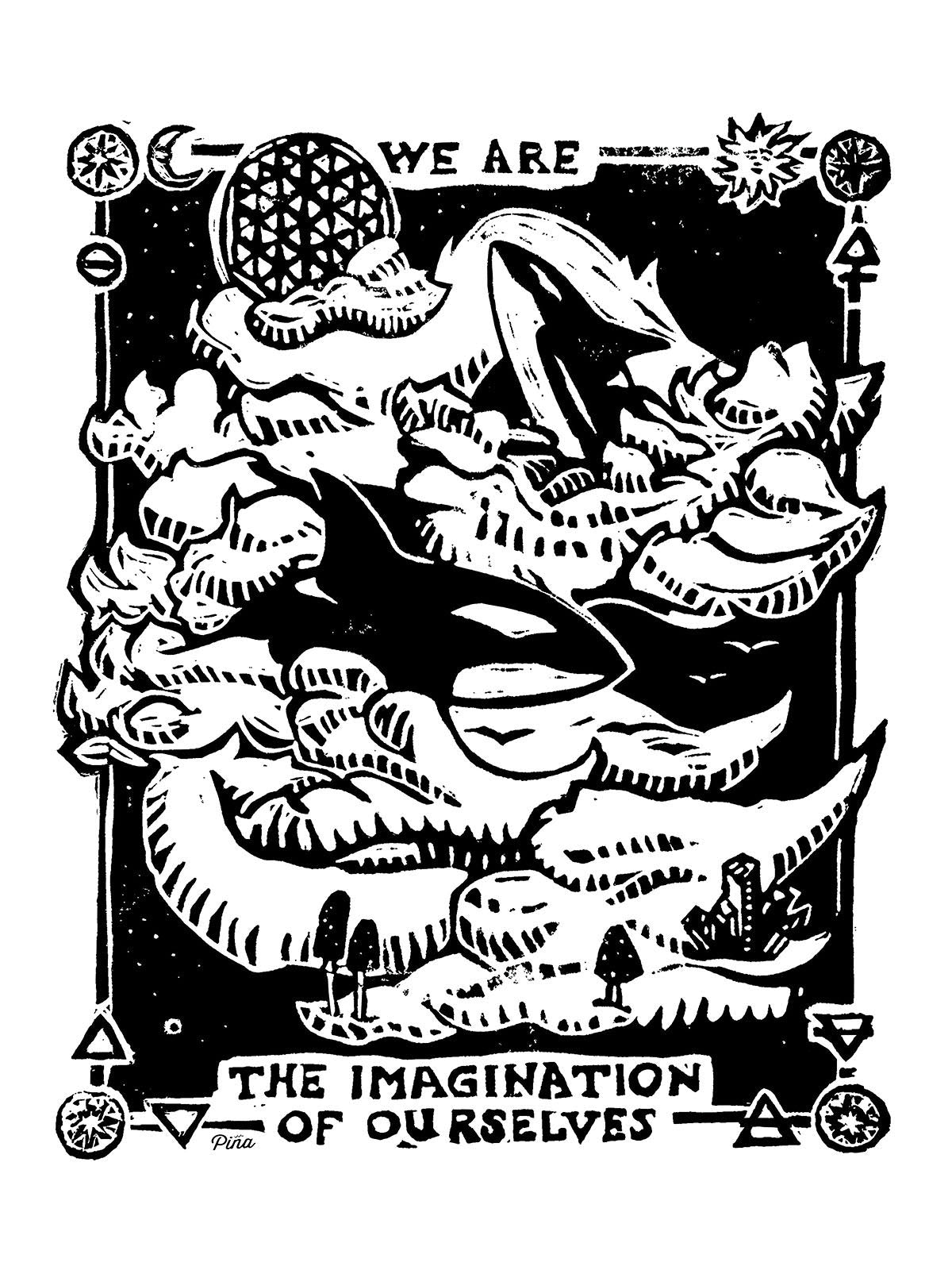 Dream Orcas