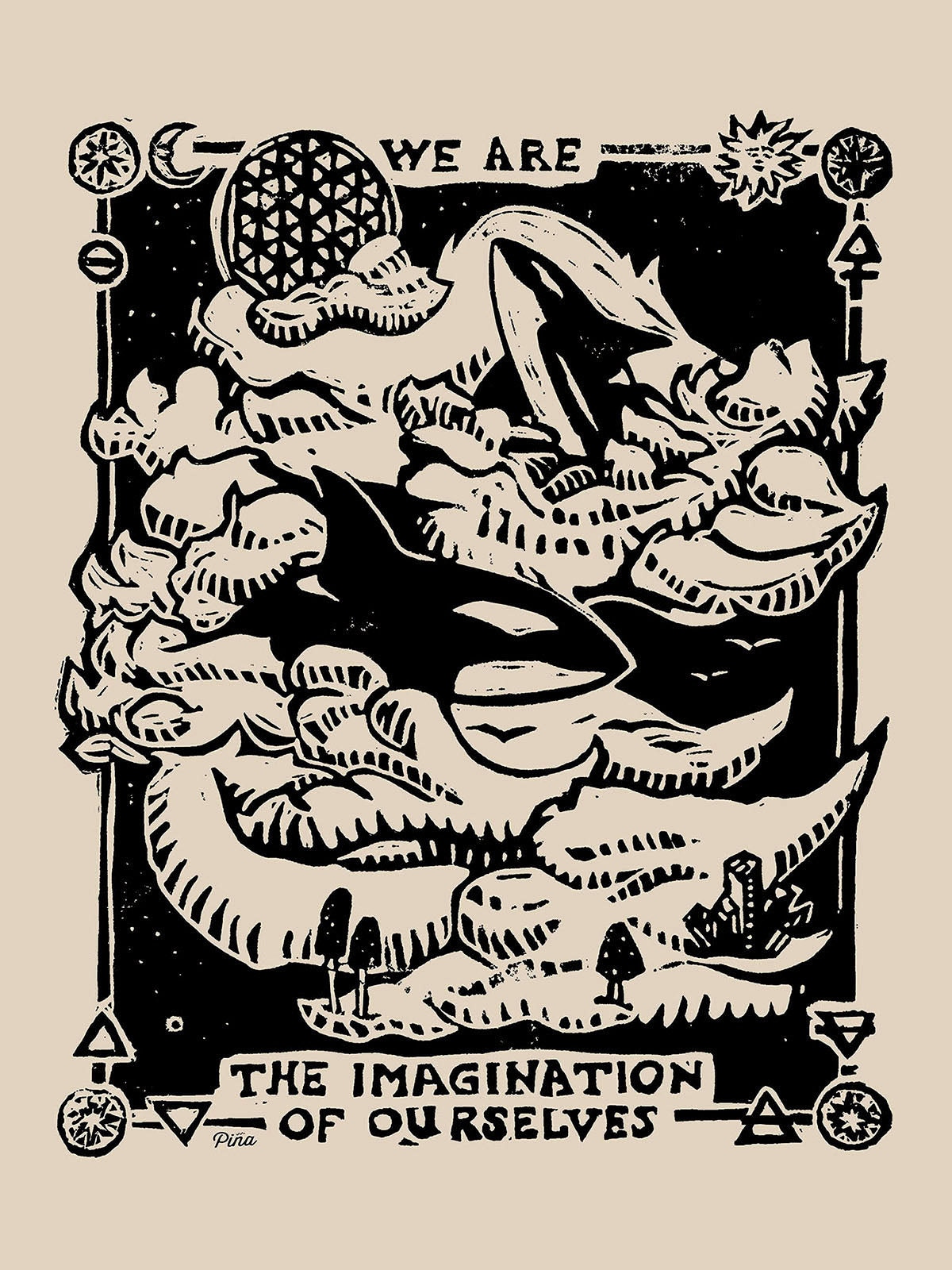 Dream Orcas
