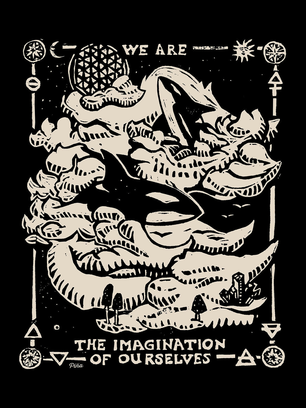 Dream Orcas
