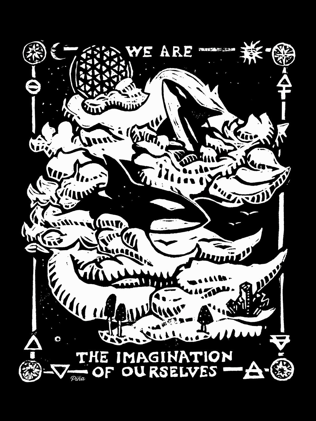 Dream Orcas