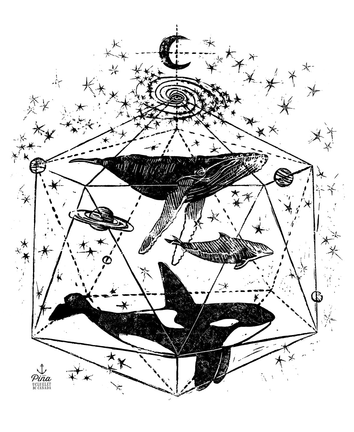 Galactic Whales Design