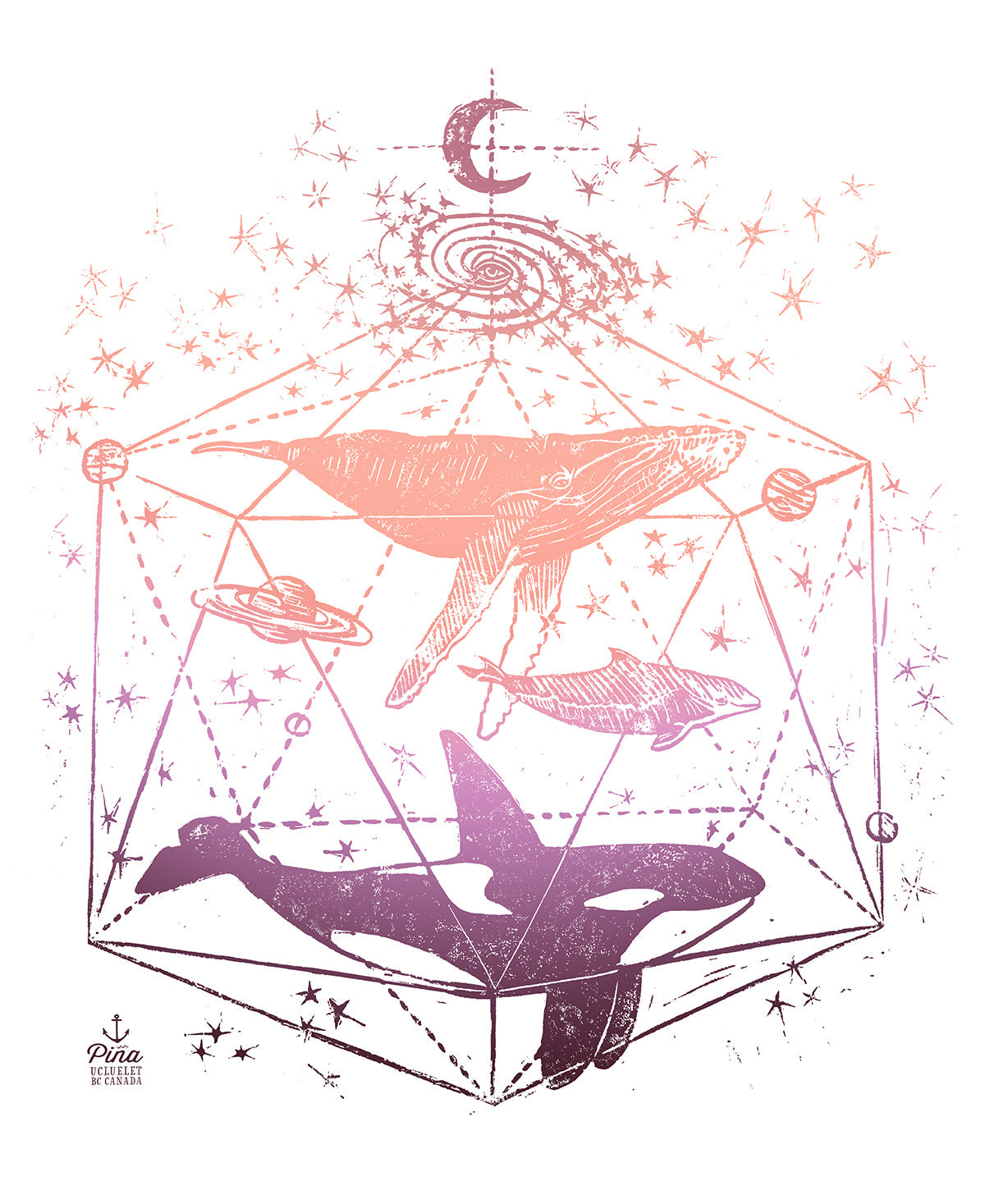 Galactic Whales Design