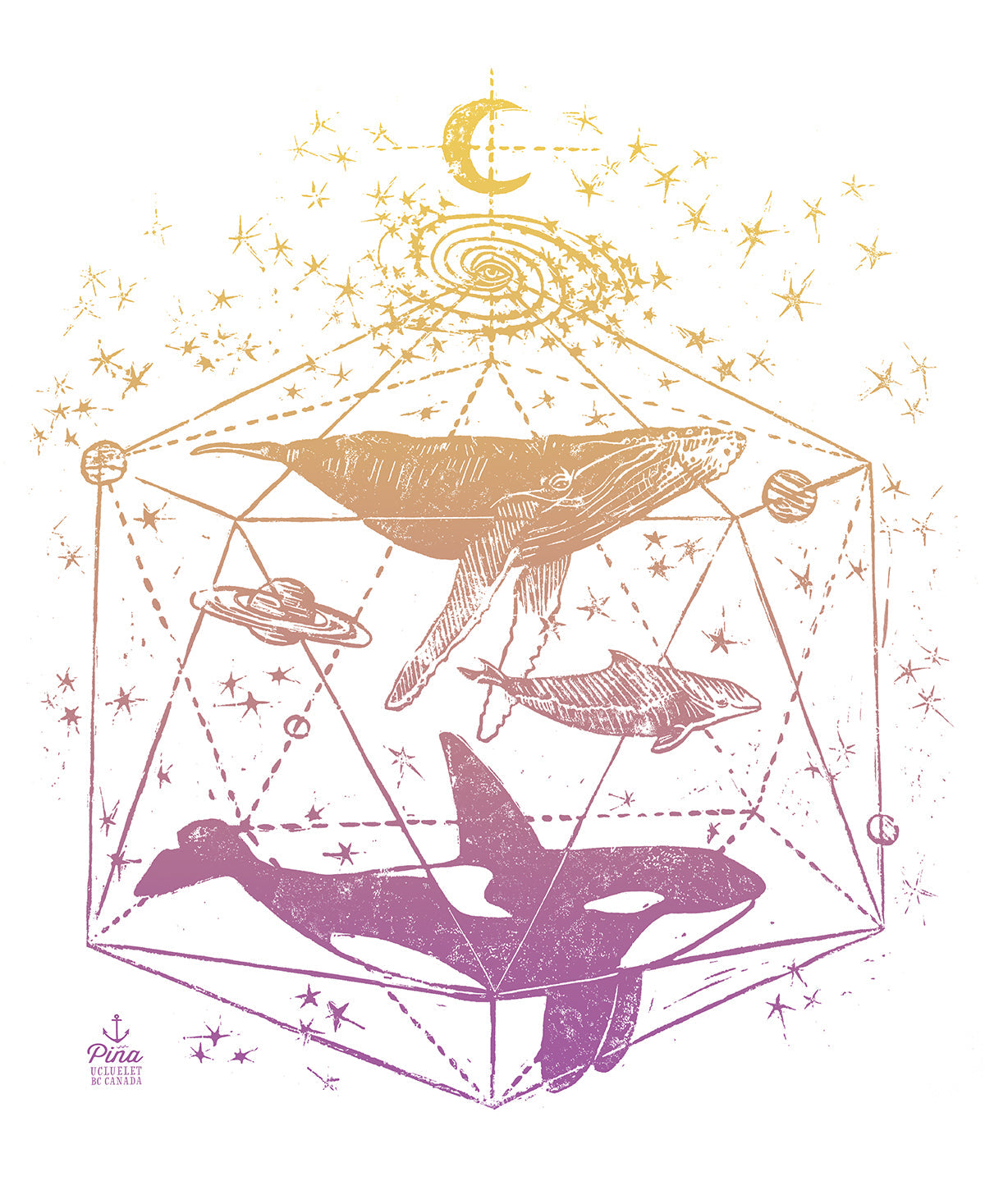 Galactic Whales Design