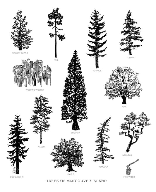 Vancouver Island Tree Species Design