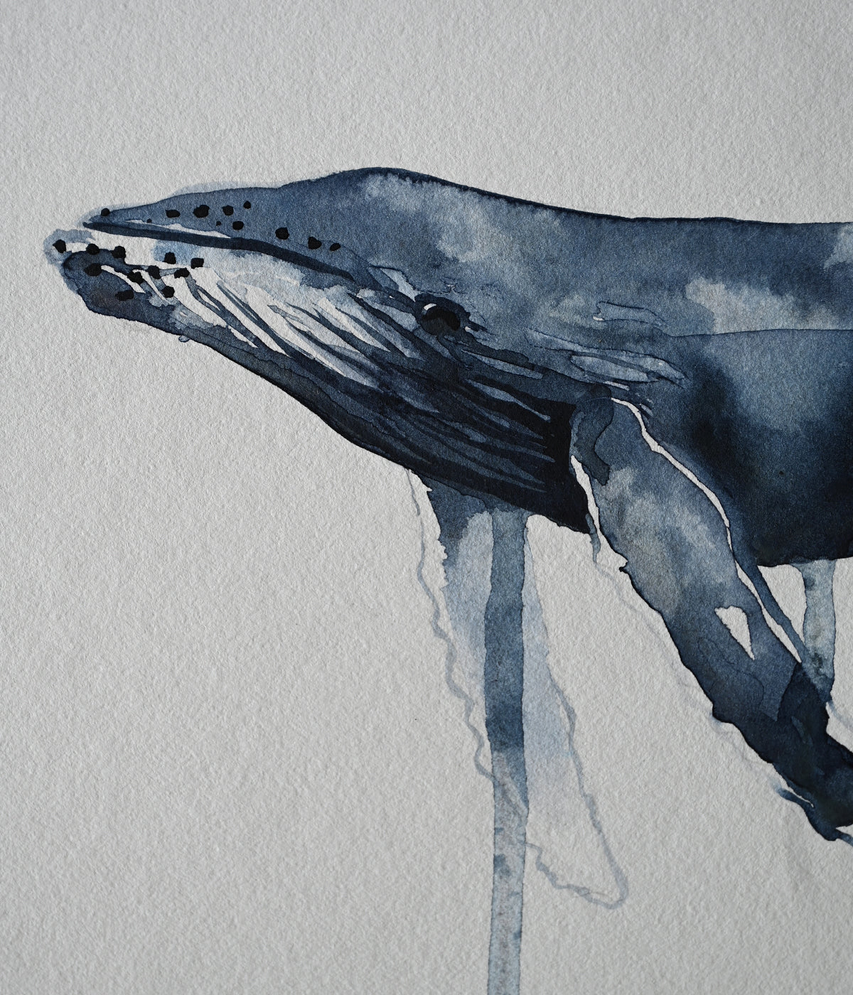 Watercolour Humpback Design