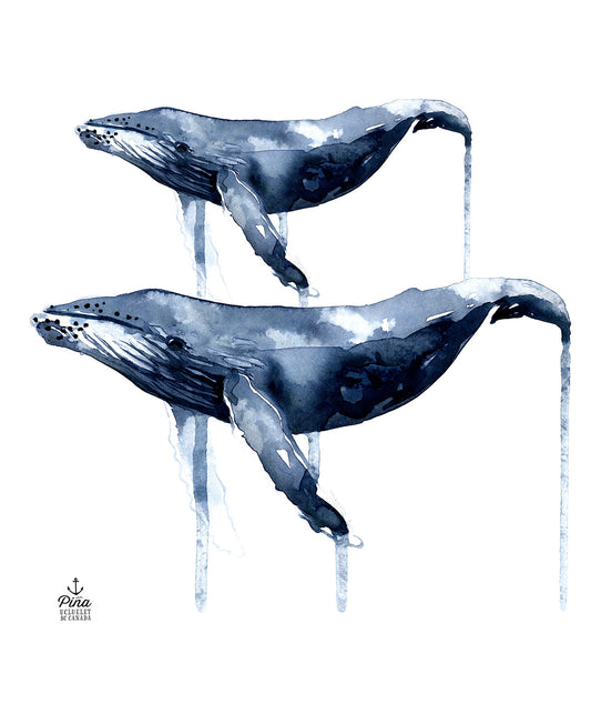 Watercolour Humpback Design